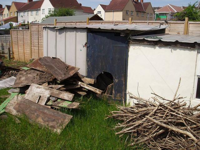 Twigs and panels