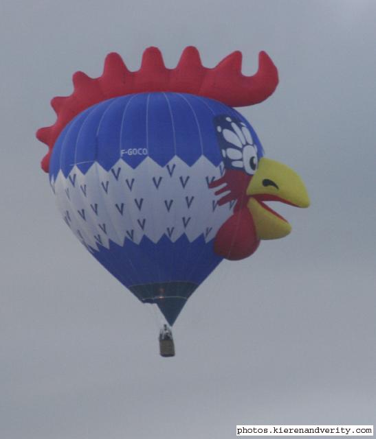 chicken balloon