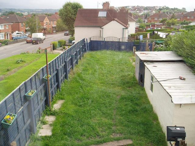 The garden