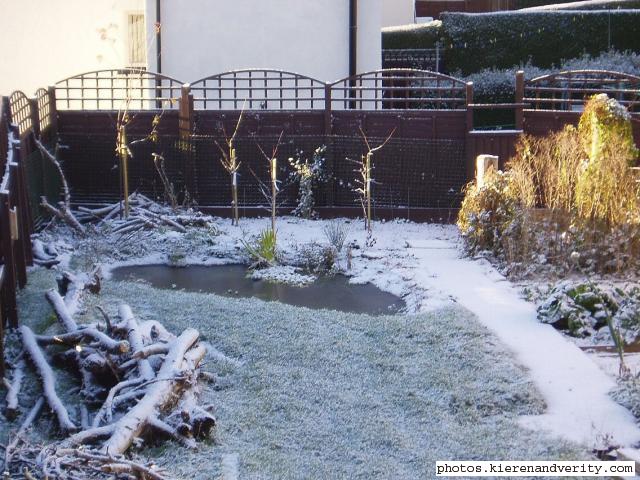 Snowy pond