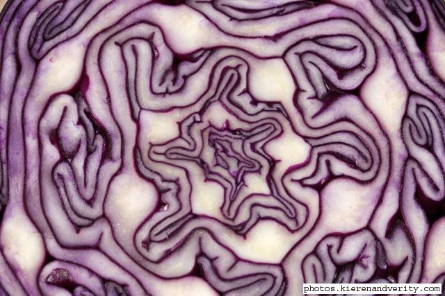 red_cabbage