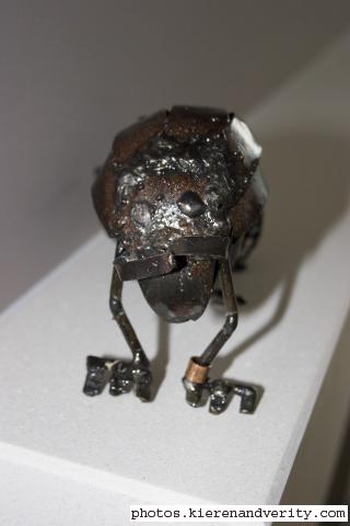 dung beetle's new home