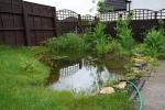 A view of the pond in May