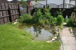 A view of the pond in late May