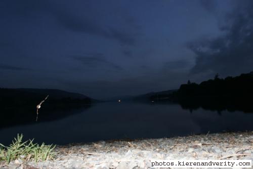 bats on coniston