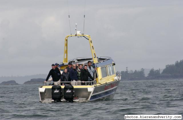 whale watchers