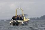whale watchers