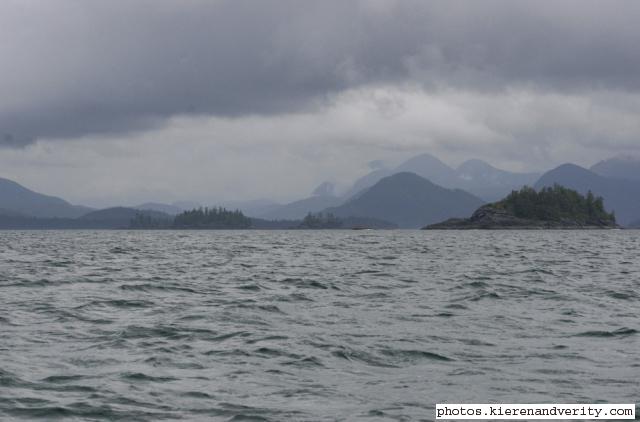 waiting for whales