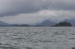 waiting for whales