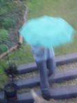 in rain