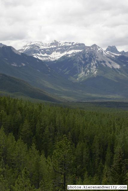 mountains and trees