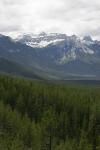 mountains and trees