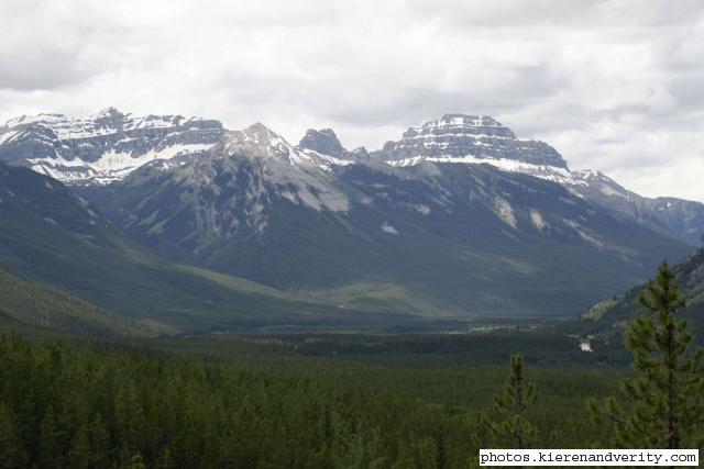 mountains and trees