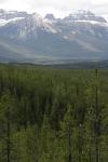 mountains and trees