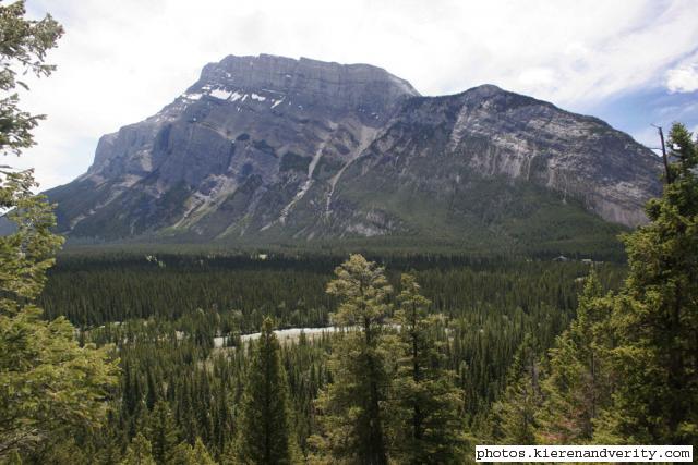 mountain and trees