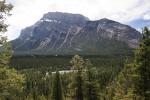 mountain and trees