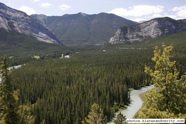 mountains and trees