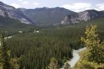 mountains and trees