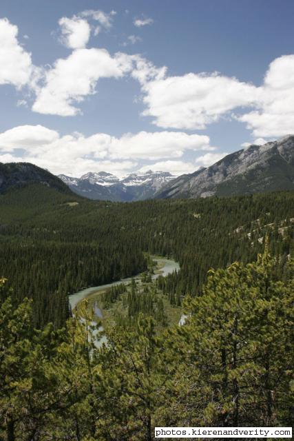 mountains and trees