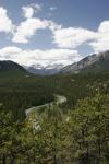 mountains and trees