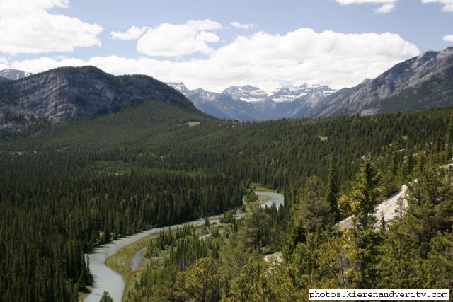 mountains and trees