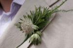 usher buttonhole