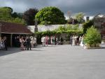 the courtyard